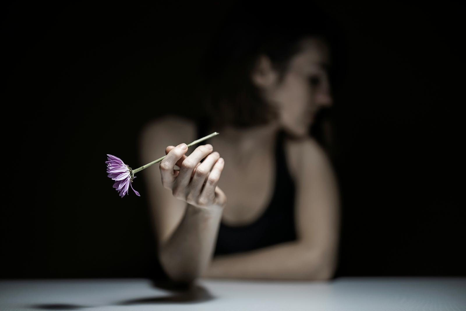 «La Intimidad de la Creación»